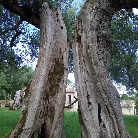 Villa Santa Vittoria Sleeps 4